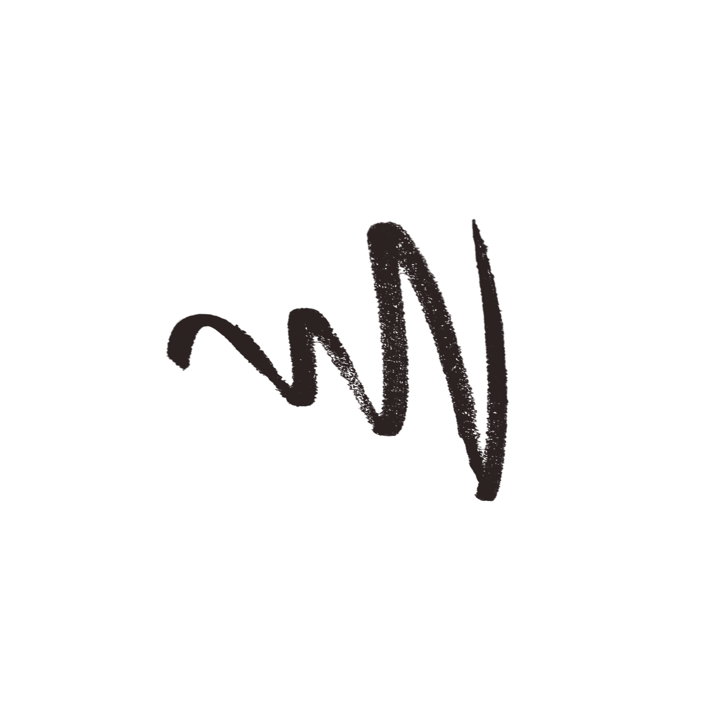 Automatic Eyebrow Pencil - Black